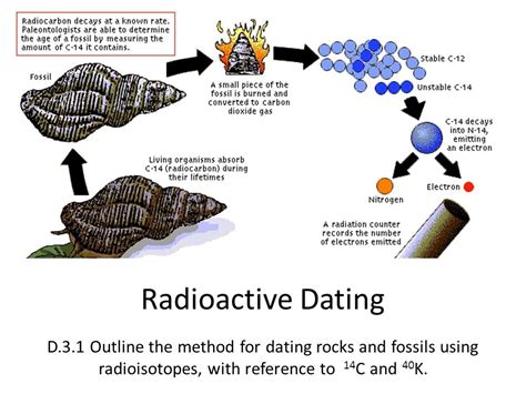 how do we use radiometric dating to calculate the age of a fossil